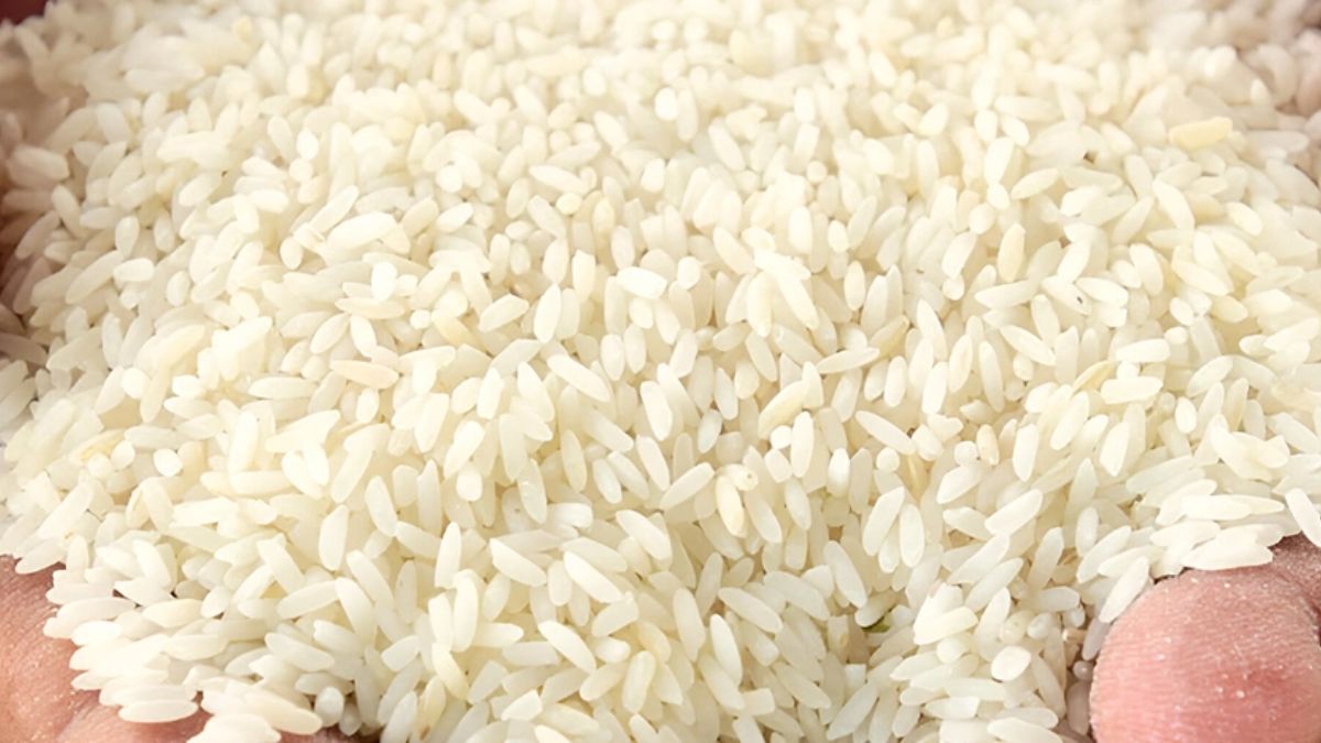 Why is Kolam Rice preferred Worldwide.jpg