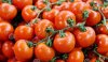 cherry tomatoes 1.jpg