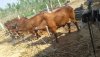 IMG-20170323-WA0077.jpg