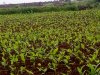 IMG-20180728-WA0002.jpg