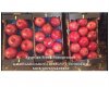 Fresh pomegranate 22.jpg