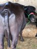 IMG-20170214-WA0040.jpg