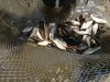IMG-20180910-WA0044.jpg