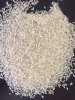 IMG-20180915-WA0082.jpg