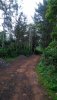 IMG-20181106-WA0011.jpg