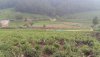 IMG-20161020-WA0004.jpg