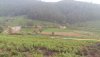 IMG-20161020-WA0002.jpg