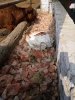 IMG-20181008-WA0017.jpg