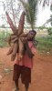 IMG-20181016-WA0028.jpg