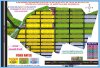 IMG-20181117-WA0003.jpg