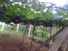 IMG-20181201-WA0034.jpg
