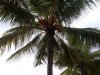 IMG-20181201-WA0037.jpg