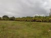 IMG-20181201-WA0030.jpg