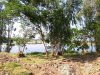 IMG-20181220-WA0067.jpg