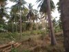IMG-20181229-WA0012.jpg