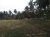 IMG-20181229-WA0010.jpg