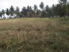 IMG-20181229-WA0014.jpg