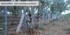 barbed wire fencing for oil and Gas pipelines.jpg