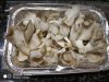 IMG-20181229-WA0004.jpg