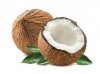 COCONUT.jpg