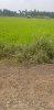 IMG-20190131-WA0016.jpg