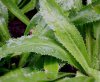 IMG-20190204-003.JPG