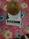 weight.jpg