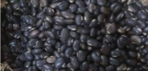 1755001400459.png