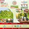 ADS ORGANIC 8X8.jpg