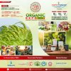 ADS ORGANIC 8X8 (2).jpg
