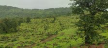 240Acres (1).jpeg