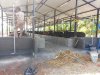 Sheds with Bucket milking systems from Boumatic USA.jpg