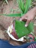IMG-20171207-WA0061.jpg