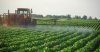 Agricultural-Adjuvants.jpg