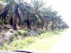 IMG-20190218-WA0176.jpg