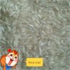 TMPDOODLE1523518699064.jpg