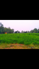 Screenshot_2017-10-31-08-19-07-011_com.miui.gallery.png