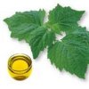 clove oil.jpg