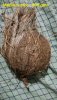IMG_20190615_114951.jpg