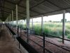 IMG_20171006_171043.jpg