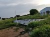 IMG_20171006_173324.jpg