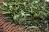 25441907-dried-stevia-rebaudiana-bertoni-sweet-leaf-sugar-substitute.jpg