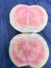 IMG-20180528-WA0048.jpg