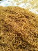 IMG-20180618-WA0024.jpg IMG-20180618-WA0024.jpg