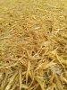 IMG-20180618-WA0029.jpg