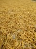 IMG-20180618-WA0030.jpg