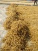 IMG-20180618-WA0034.jpg