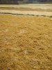 IMG-20180618-WA0036.jpg IMG-20180618-WA0036.jpg