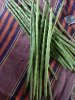 IMG-20180609-WA0014.jpg