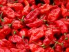 IMG-20180624-WA0006.jpg